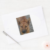 Carolina dog.png ovale sticker (Envelop)