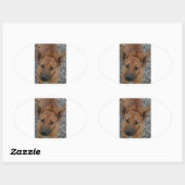 Carolina dog.png ovale sticker (Vel)
