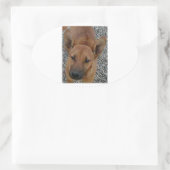 Carolina dog.png ovale sticker (Tas)