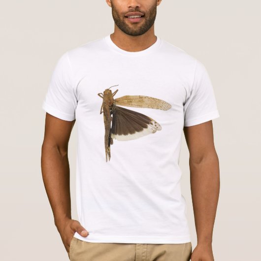 Carolina Grasshopper T-shirt (Voorkant)