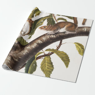 Carolina Gray Squirrel (Sciurus Carolinensis) Cadeaupapier