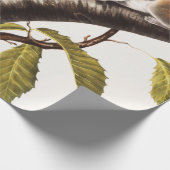 Carolina Gray Squirrel (Sciurus Carolinensis) Cadeaupapier (Hoek)