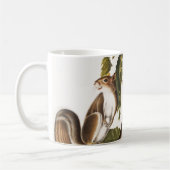 Carolina Gray Squirrel (Sciurus Carolinensis) Koffiemok (Links)