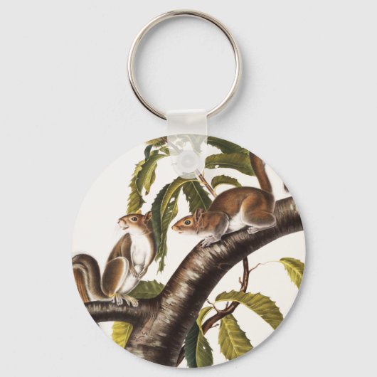 Carolina Gray Squirrel (Sciurus Carolinensis) Sleutelhanger (Voorkant)