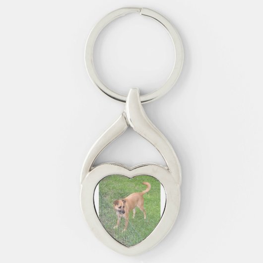 Carolina hond vol 2 sleutelhanger (Voorkant)