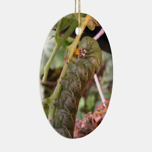 Carolina Hornworm ~ sierent Keramisch Ornament (Rechts)