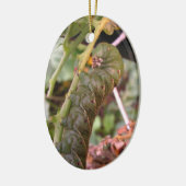 Carolina Hornworm ~ sierent Keramisch Ornament (Links)