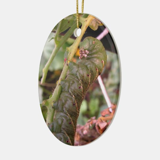 Carolina Hornworm ~ sierent Keramisch Ornament (Links)