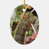 Carolina Hornworm ~ sierent Keramisch Ornament (Voorkant)