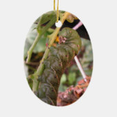 Carolina Hornworm ~ sierent Keramisch Ornament (Achterkant)