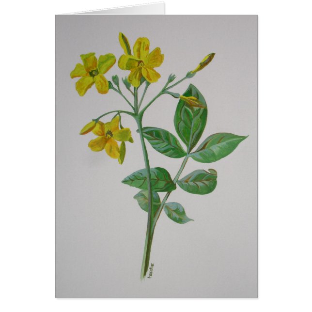 Carolina Jasmine Botanical Art (Voorkant)