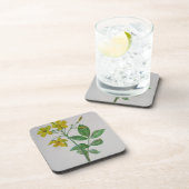 Carolina Jasmine Botanical Art Bier Onderzetter (Rechterzijde)