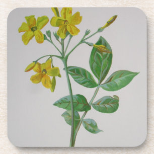 Carolina Jasmine Botanical Art Bier Onderzetter