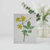 Carolina Jasmine Botanical Art Briefkaart (Staand voorkant)