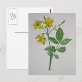 Carolina Jasmine Botanical Art Briefkaart (Voorkant / Achterkant)