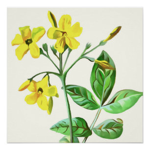 Carolina Jasmine Botanical Art Perfect Poster