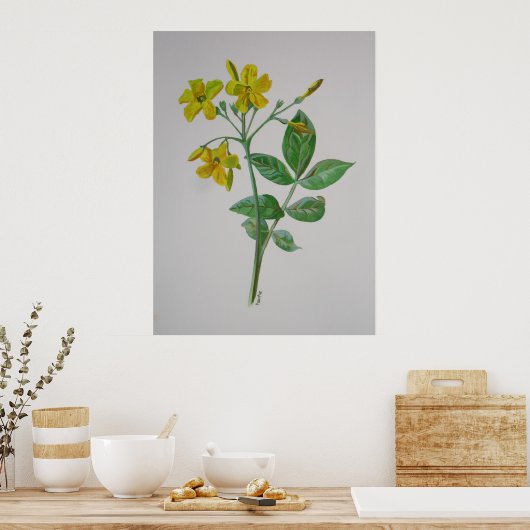 Carolina Jasmine Botanical Art Poster (Keuken)