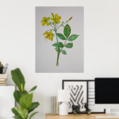 Carolina Jasmine Botanical Art Poster (Thuiskantoor)