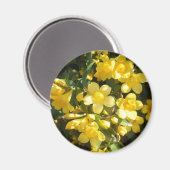 Carolina Jasmine Magnet (Voorkant / Achterkant)