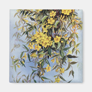  Carolina Jessamine Yellow Flowers Floral Magneet