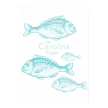 Carolina Kust Vintage Turquoise Zoutwater Vis