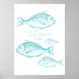 Carolina Kust Vintage Turquoise Zoutwater Vis Poster