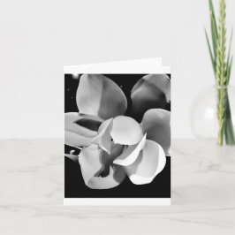 Carolina Magnolia - Lege Vouwkaart Kaart