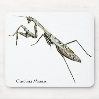 Carolina Mantis Muismat