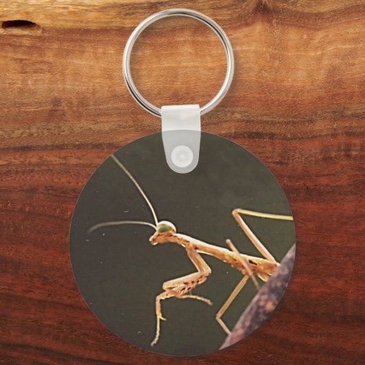 Carolina Mantis Sleutelhanger (Voorkant)