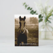 Carolina Marsh Tacky Horse Briefkaart (Staand voorkant)