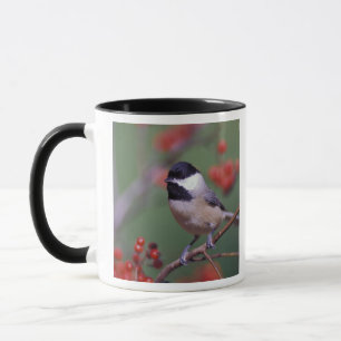 Carolina Mees Mok