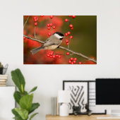 Carolina Mees op gewone winterbesstruik Poster (Thuiskantoor)