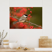 Carolina Mees op gewone winterbesstruik Poster (Keuken)