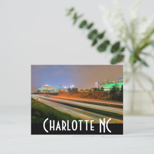 carolina panters briefkaart (Staand voorkant)