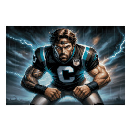 Carolina Panthers Perfect Poster