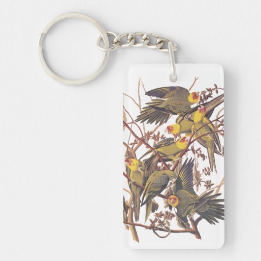 Carolina Parakeet Acryl Sleutelhanger (Voorkant)