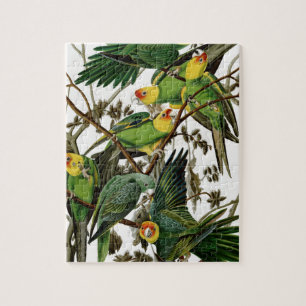 Carolina Parakeet Legpuzzel