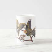 Carolina Parakeet Trio Porselein Kop (Voorkant)