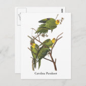 Carolina Paraket, John Audubon Briefkaart (Voorkant / Achterkant)