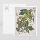 Carolina Paraket, uit 'Birds of America', 1829 Briefkaart (Voorkant / Achterkant)