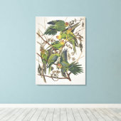 Carolina Paraket, uit 'Birds of America', 1829 Canvas Afdruk (Insitu (Houten vloer))