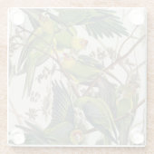 Carolina Paraket, uit 'Birds of America', 1829 Glazen Onderzetter (Achterkant)