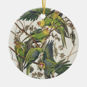 Carolina Paraket, uit 'Birds of America', 1829 Keramisch Ornament