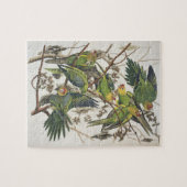 Carolina Paraket, uit 'Birds of America', 1829 Legpuzzel (Horizontaal)