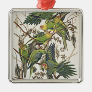 Carolina Paraket, uit 'Birds of America', 1829 Metalen Ornament