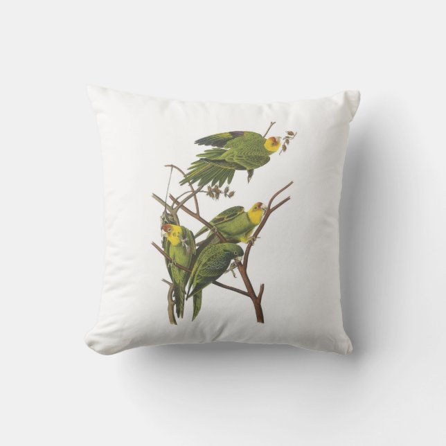 Carolina Paraket van Audubon Kussen (Voorkant)