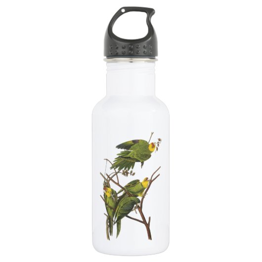 Carolina Paraket van Audubon Waterfles (Voorkant)