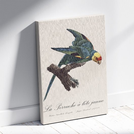 Carolina-parkiet, Conuropsis carolinensis Canvas Afdruk