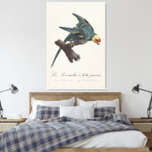 Carolina-parkiet, Conuropsis carolinensis Canvas Afdruk (Insitu (Slaapkamer))
