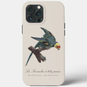 Carolina-parkiet, Conuropsis carolinensis Case-Mate iPhone Case (Achterkant)
